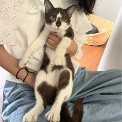 3ヶ月半男の子