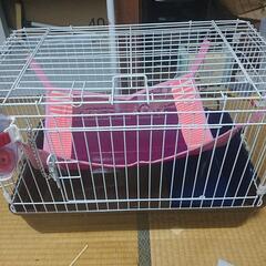 ゲージの画像