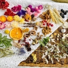 水やり不用で長いこと飾れる本物の花、ドライフラワー