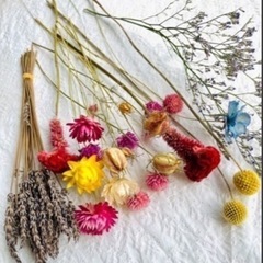 水やり不用で長いこと飾れる本物の花、ドライフラワーの画像