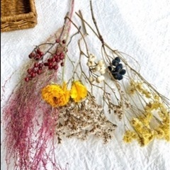 水やり不用で長いこと飾れる本物の花、ドライフラワーの画像