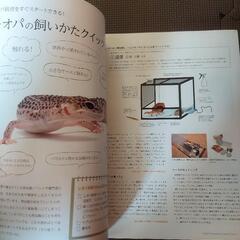 レオパのトリセツの画像
