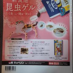 レオパのトリセツの画像