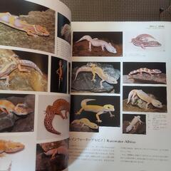 レオパのトリセツの画像