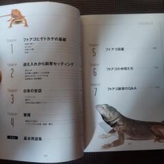 フトアゴヒゲトカゲの教科書の画像
