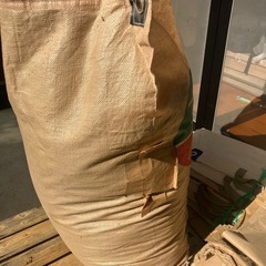 お米 2023年　　籾付コシヒカリ　　30kg  