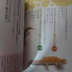 ヒョウモントカゲモドキと暮らす本の画像