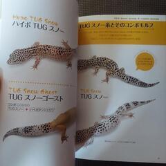 ヒョウモントカゲモドキと暮らす本の画像