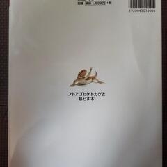 フトアゴヒゲトカゲと暮らす本の画像