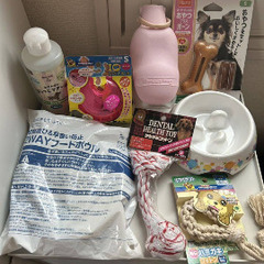 犬用品色々。小型犬。