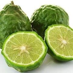 Kaffir Lime コブミカン　カフィア　葉っぱ付きの20~30cmの枝1本の画像