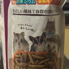 アメリカミズアブ　ペットフード