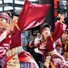 2025年新メンバー募集！相模原市よさこいチーム躍動 - メンバー募集