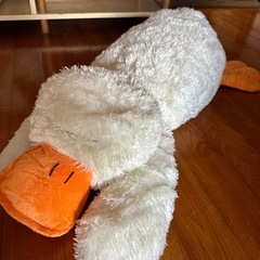 ぬいぐるみの画像