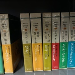 ⑧本（日本・世界文学、美術本など）の画像