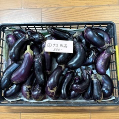 ② B品ナス　お買い得の画像