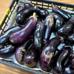 ② B品ナス　お買い得の画像