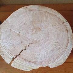 ■(完売) :丸太・檜(ヒノキ) -2の画像