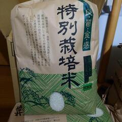 2024 新米 ゆめぴりか 精米済みor玄米