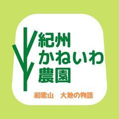 みかんの収穫と運搬のスタッフ募集！