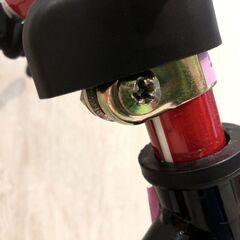 ■12575■美品■D-BIKE Cars Vitoline95 足蹴り自転車 乗用玩具 自転車 カーズ ブレーキ付き バランスバイクの画像