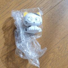 うちのタマ知りませんか