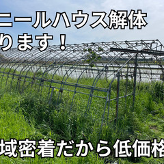 ビニールハウス解体しますの画像