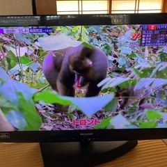 シャプ液晶テレビ📺32型最終値下げ