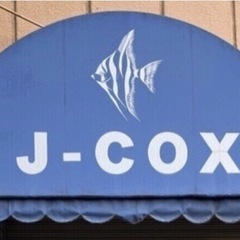 ‼️早い者勝ち‼️GEX50cmガラス水槽【USED】50×24×29 メダカ ベタ 金魚 観賞魚 アクアリウム テラリウムの画像