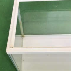 ‼️早い者勝ち‼️GEX50cmガラス水槽【USED】50×24×29 メダカ ベタ 金魚 観賞魚 アクアリウム テラリウムの画像