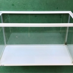 ‼️早い者勝ち‼️GEX50cmガラス水槽【USED】50×24×29 メダカ ベタ 金魚 観賞魚 アクアリウム テラリウムの画像