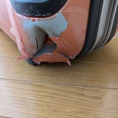 ProtecA　キャリーバッグ（無料）9/28㈯までの画像