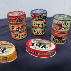 ニッスイ いなば ホテイ 極洋 太洋食品 伊藤食品 HOKO 缶...