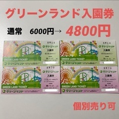 バラ売りOK グリーンランドチケット入園券