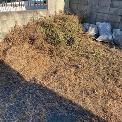 草を袋に詰めてください！