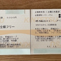 2024.9.22(午後)、23(終日)分 近鉄週末
フリーチケット