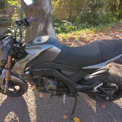 Z125PRO