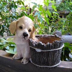 犬の植木鉢入れ　ガーデニング　鉢カバー　横浜市中区でのお渡しも可