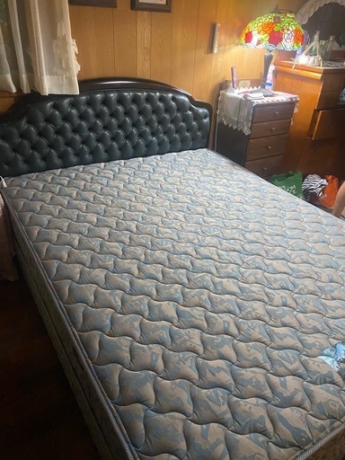 クイーンベット