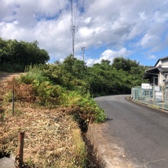 太陽光発電所草刈
