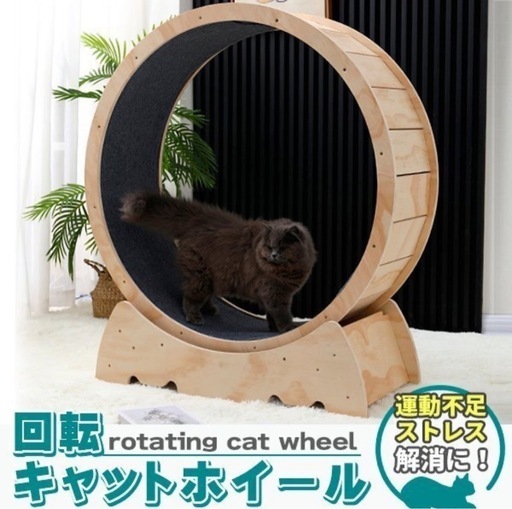 高品質 キャットホイール B-blast】キャットホイール Pets-first