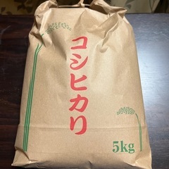 お米   5kg 