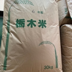 新規受付終了！新米　お米とちぎの星　30kg 令和6年産　