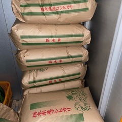 ラスト１袋　令和5年 栃木県産　コシヒカリ1等米　玄米30キロ