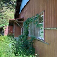 No.0144【宮崎県国富町】庭付きの平屋一戸建て、お譲りいたします。 - 不動産売買（マンション/一戸建て）