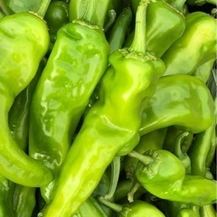 野菜　青唐辛子　牛角椒 1kg