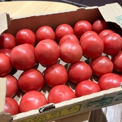 受け渡し者【決定】①北海道産とまと5個セット！訳あり品