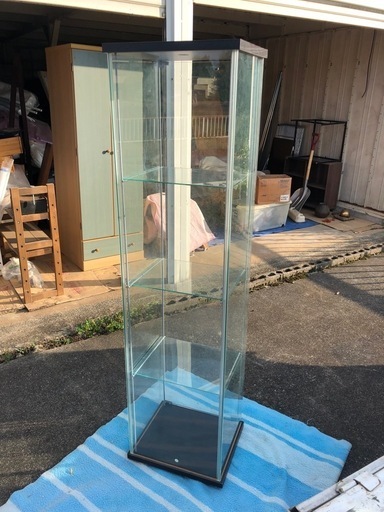 コレクションケース、IKEAデトルフ。
