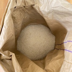 『お取引者決まりました』令和5年産　栃木県産コシヒカリ