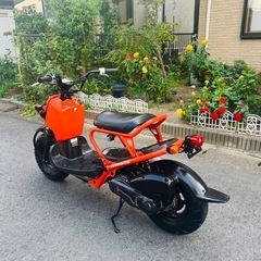 ホンダ ズーマー の画像